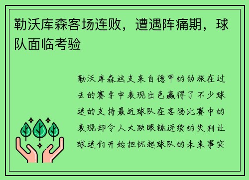 勒沃库森客场连败，遭遇阵痛期，球队面临考验